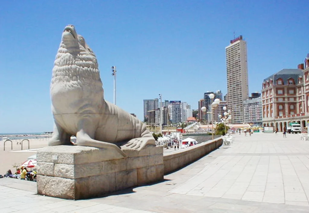 lobo marino - mar del plata