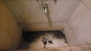 baño