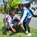 Dengue Grande Mediano